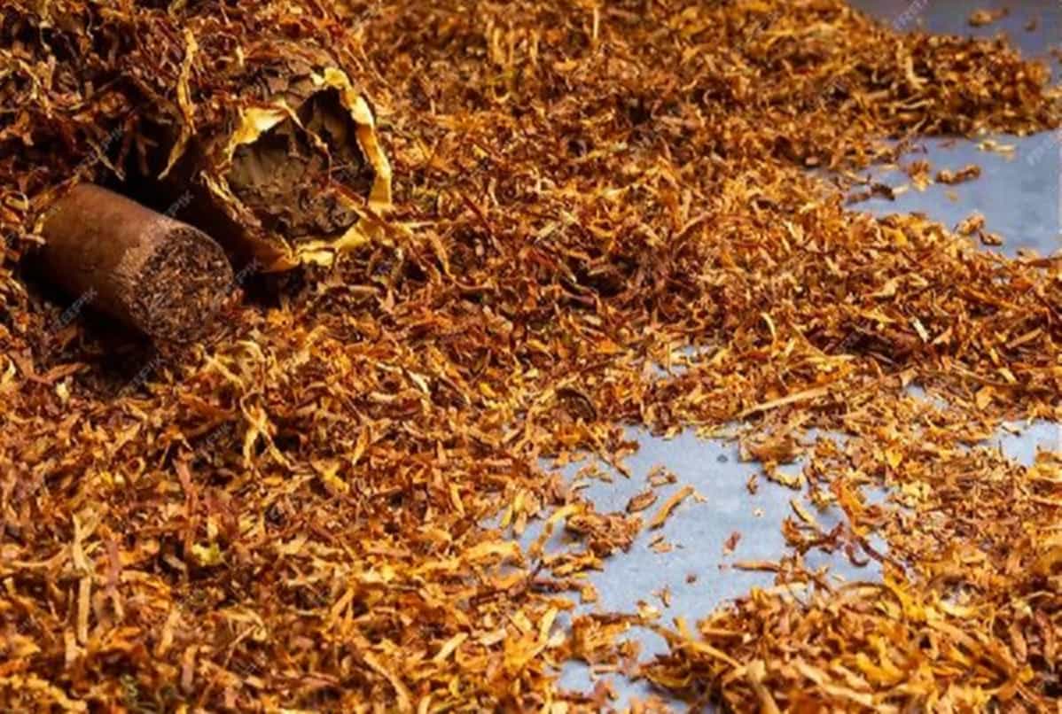 Крупный план измельченных листьев табака